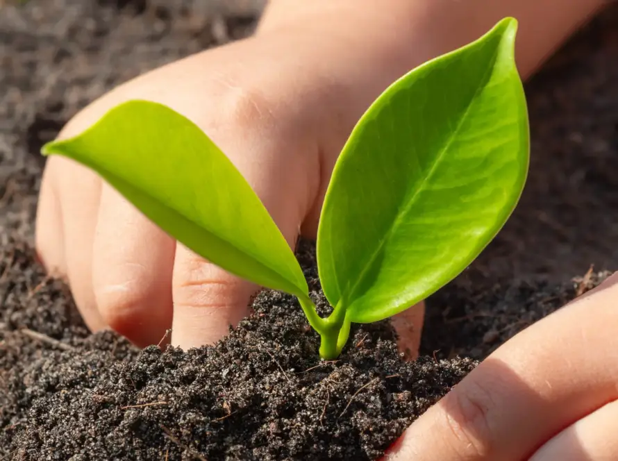 come-piantare-semi-nel-terreno